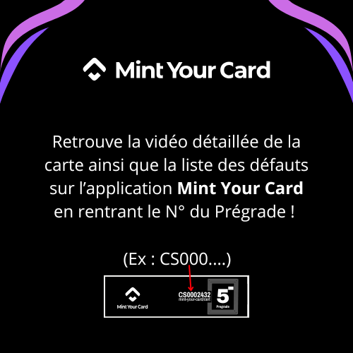 AEROMITE RARE 29/64 - Jungle - Prégrade MYC 8