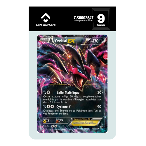 YVELTAL EX 79/146 - XY Base - Prégrade MYC 9